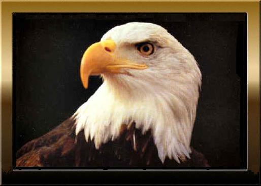 A Well-Ordered Society